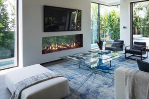 Heat & Glo: Primo II 60 See-Through Fireplace