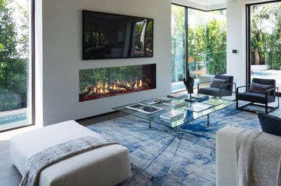 Heat & Glo: Primo II 60 See-Through Fireplace