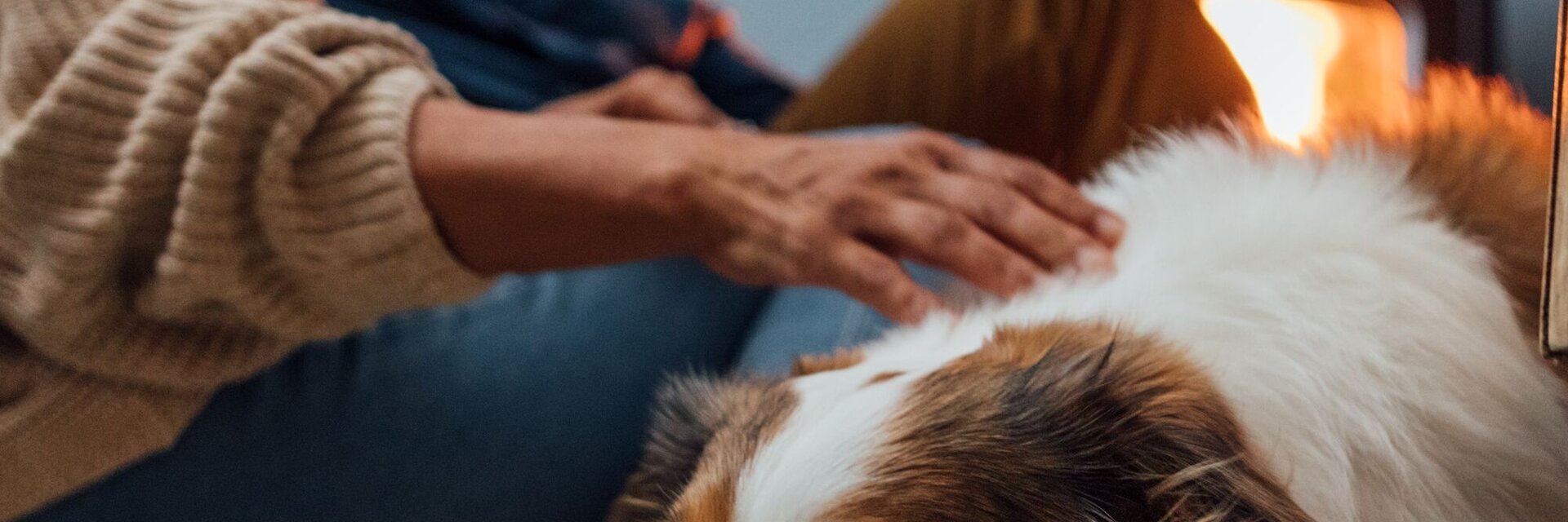 Indianapolis couple at home with their dog beside a warm fireplace